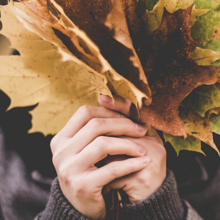 A fist full of fallen Autumn Leaves Inspire Kitchen Design Color Palettes.